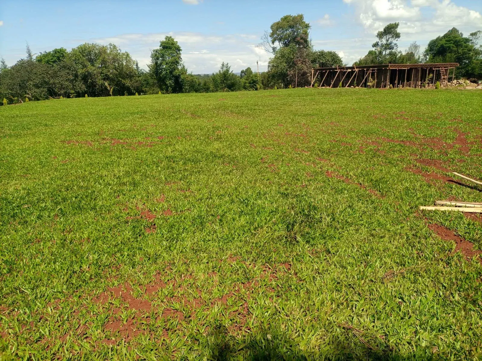 Open lawns and early landscape setting at Kamoiywo Springs