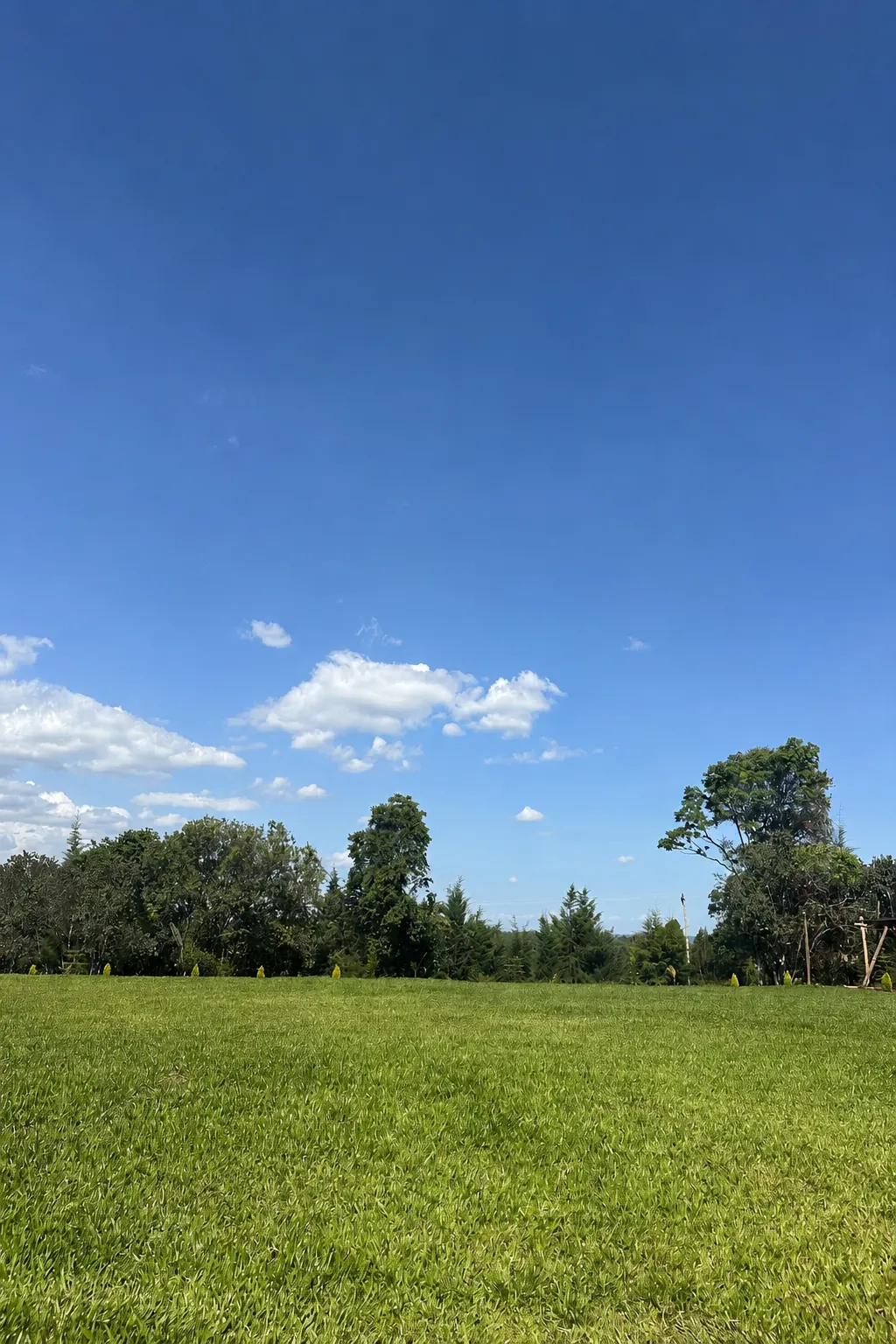 Open resort grounds at Kamoiywo Springs where future leisure spaces are planned