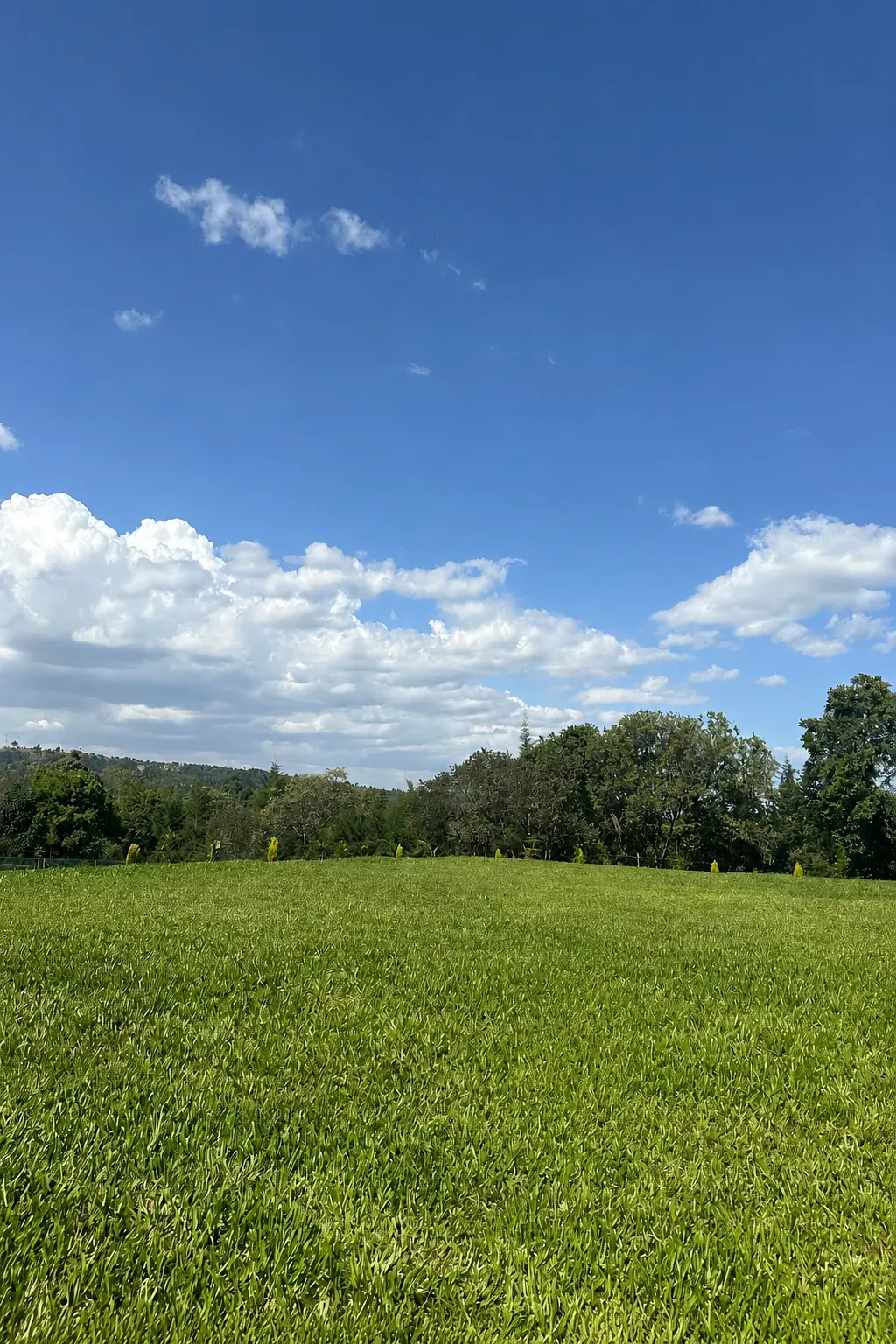 Kamoiywo Springs Resort grounds in the Nandi highlands