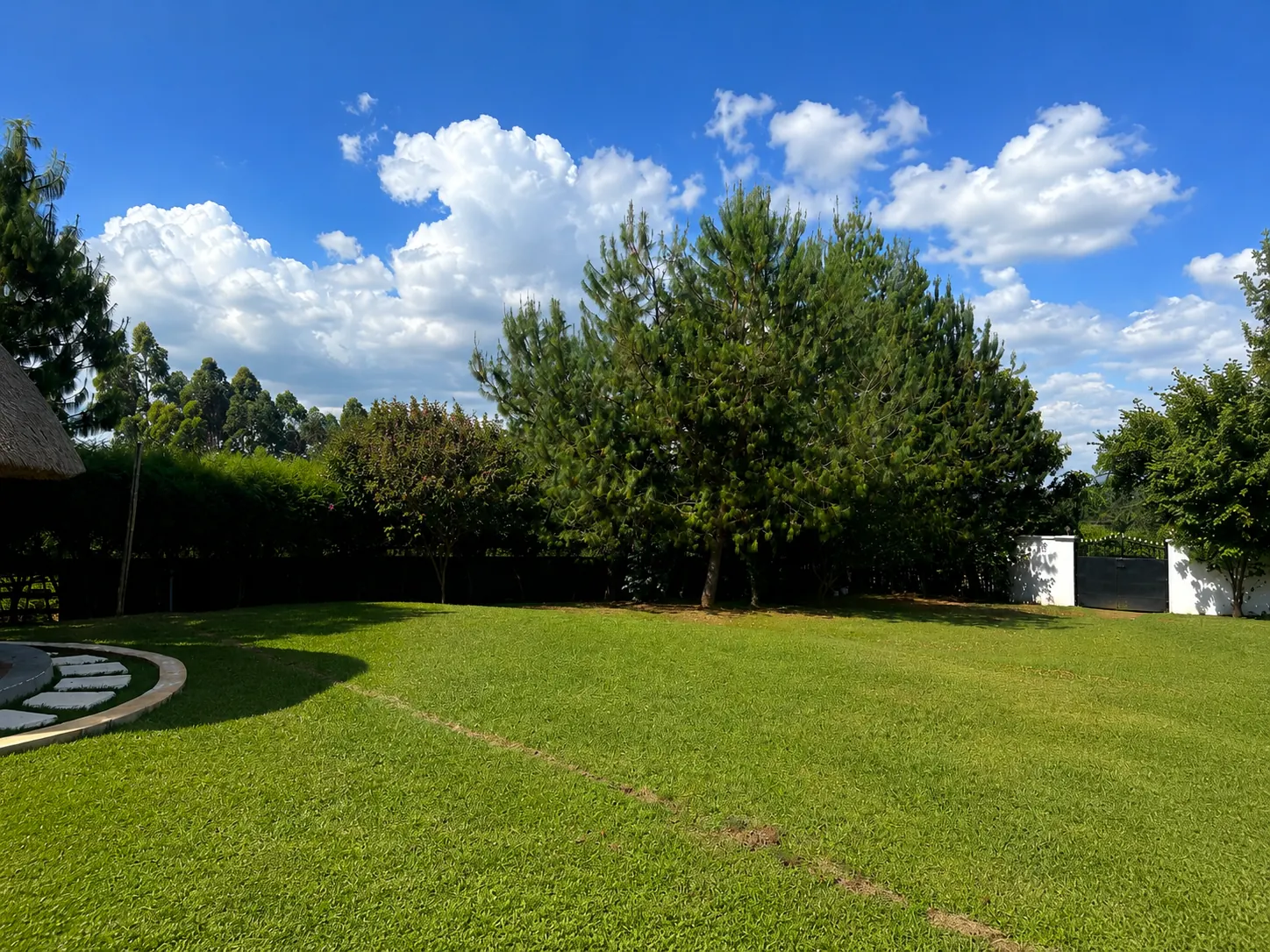 Tree and landscape view at Kamoiywo Springs Resort in the Nandi highlands